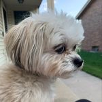 Stella Brady - @stella_cutiewithafluffybooty - Instagram