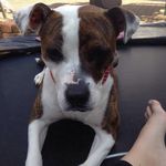 Stella Brady - @oxoxox.stella.xoxoxo - Instagram