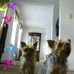 Stella Brady - Facebook