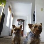 Stella Brady - @stellacupelli11 - Instagram