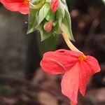 Stella Brady - @stewla341 - Instagram