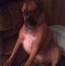 Stella Brannon - Facebook