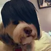 stella - @stellabuchanannnn - TikTok