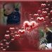 Stella Burke - Facebook