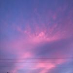Stella Burkett - @stella.burkett.18 - Instagram