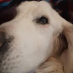 Stella Fannin Burke - @stellafanninburke - Instagram