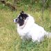 Stella Calvert - Facebook