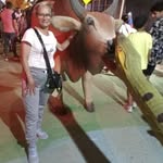 Stella Camacho - @estellal.camacho - Instagram