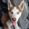 Stella Camacho - @stella.camacho72 - TikTok