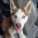Stella Camacho - @stella.camacho.775 - Instagram