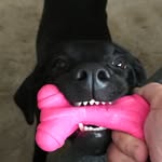 Stella - @stella_cameron - Instagram
