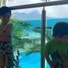 Stella Cano - @stella.cano530 - TikTok