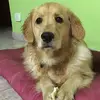 Stella Cano - @stella.cano37 - TikTok