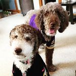 Stella & Carter - @stella_and_carter - Instagram