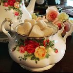Stella Carter - @teatimeorganicnyc - Instagram