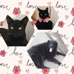 Puru And Casey, Stella Luna - @stellaluna_puru_casey - Instagram