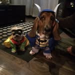 Candace & Matt - @cash.stella - Instagram