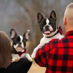 Stella, Cash & Tater - @stellacashtater - Instagram