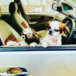 casper and stella - @casper___stella - Instagram