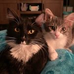 Stella & Casper - @stellancasper - Instagram