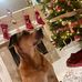 Stella Cavanaugh - Facebook
