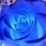 Camas - @stella_celeste - Instagram