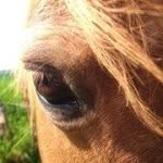 Stella Cherry - @stellacherry85 - Instagram