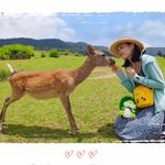 Stella Chiang - @chiang_stella - Instagram