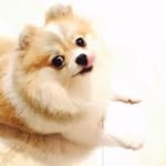Stella Chiu - @stella_chiu77 - Instagram