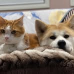 Stella Chiu - Facebook
