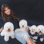 邱思華 - @stellachiu1130 - Instagram