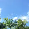 Stella Choy747 - @stellaaka - TikTok