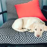 Stella Claypool - @stella_claypool - Instagram