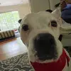 stella - @scregg - TikTok