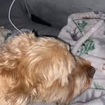 stella - @_stella_collier - Instagram