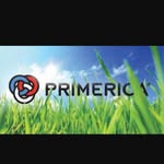 Stella Collins - @stellacollinsinsurance - Instagram