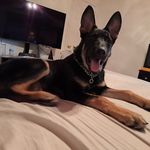 Stella colon - @stellacolon258 - Instagram
