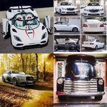 Stella - @stella_colwell - Instagram