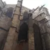 Stella Comerio - @stellacomerio - TikTok