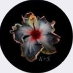 Stella Copeland - @st4le_ch1ps - Instagram