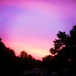 Stella Dawson - @keep_your.head_high - Instagram