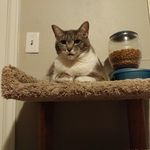 Stella Dawson-Cooper - @stelladawsoncooper - Instagram