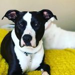 Stella_Dillon - @stella_dillon19 - Instagram