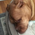 Stella Dillon - @dillon.stella - Instagram