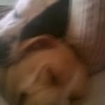 Stella - @stelladipple315 - Instagram