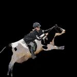 stella doherty - @sdshowjumping - Instagram