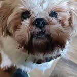 Stella Doherty - @stelladoh7 - Instagram