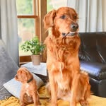 draper + stella - @draperandstella - Instagram