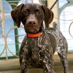 Stella Dunlap - @stellathegsp_ - Instagram