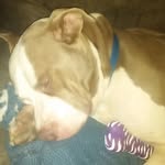 Stella Farmer - @stella.farmer.14661 - Instagram